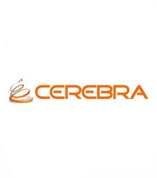 cerebra